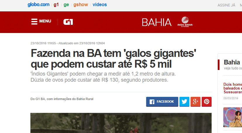 Print de reportagem sobre Índio Gigante