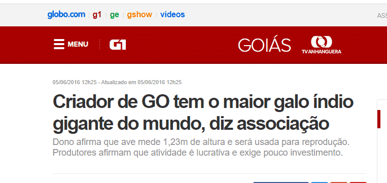 Print de reportagem sobre Índio Gigante