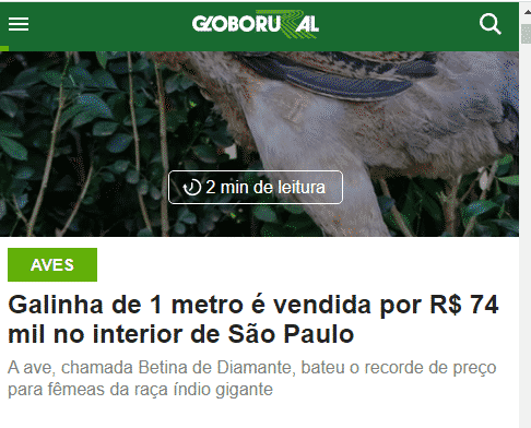 Print de reportagem sobre Índio Gigante