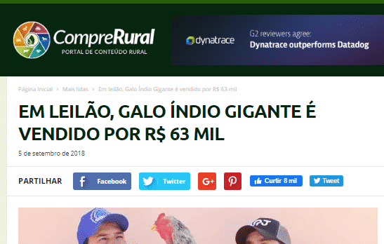 Print de reportagem sobre Índio Gigante