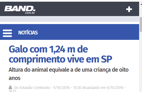 Print de reportagem sobre Índio Gigante