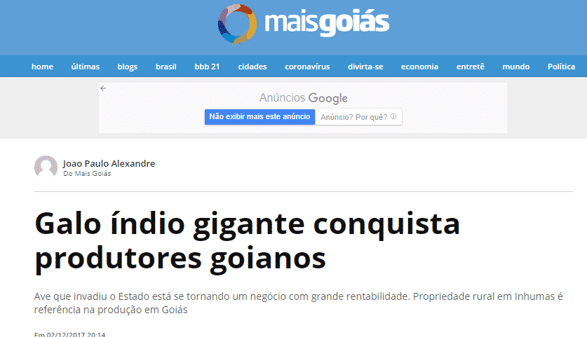 Print de reportagem sobre Índio Gigante