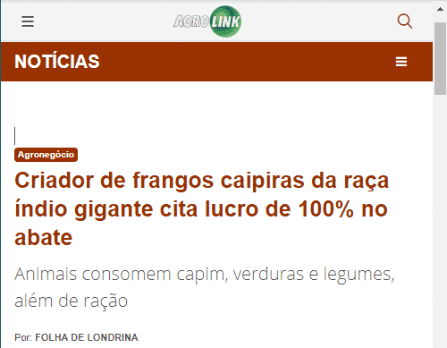 Print de reportagem sobre Índio Gigante