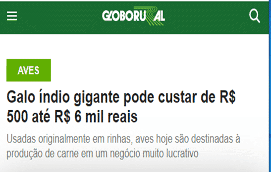 Print de reportagem sobre Índio Gigante