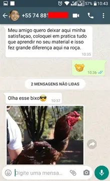 Print de mensagem de aluno sobre resultado com criação