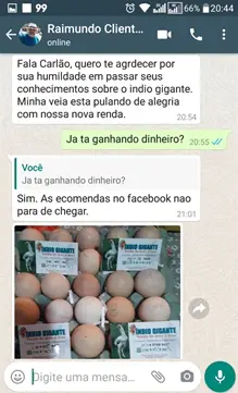 Print de mensagem de aluno sobre venda de ovos galados